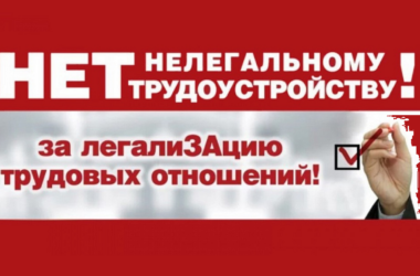 Официальное трудоустройство